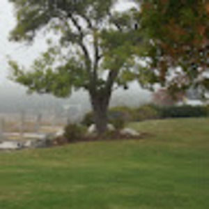 Meet your Posher, Georgette